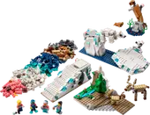 Arctic Animals Science Kit