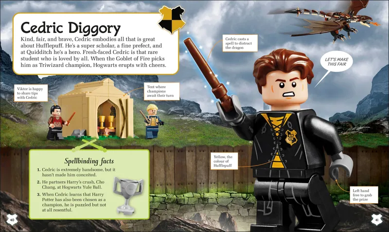 Harry Potter: A Spellbinding Guide to Hogwarts Houses