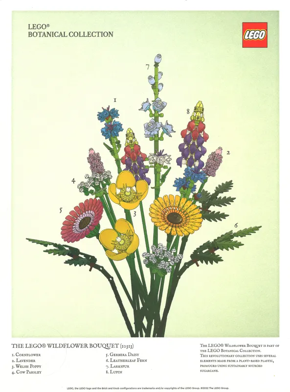 Botanical Collection Art Print – Wildflower Bouquet Botanical Collection Art Print – Wildflower Bouquet