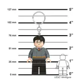 Harry Potter Key Light