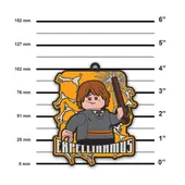 Expelliarmus Magnet