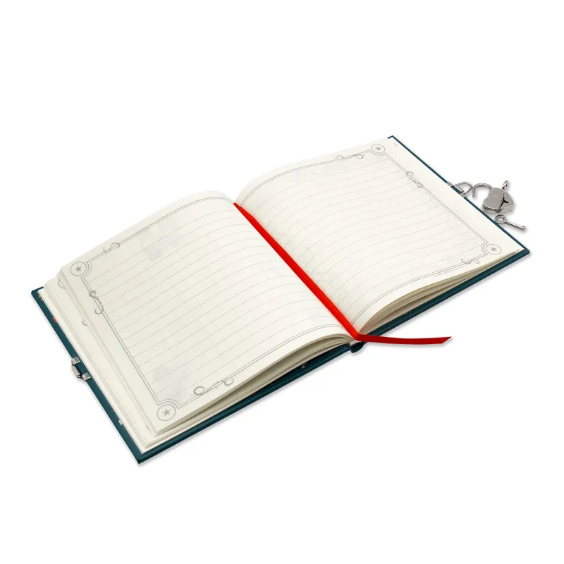 Harry Potter Diary Box Set