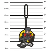 Harry Potter Quidditch Bag Tag