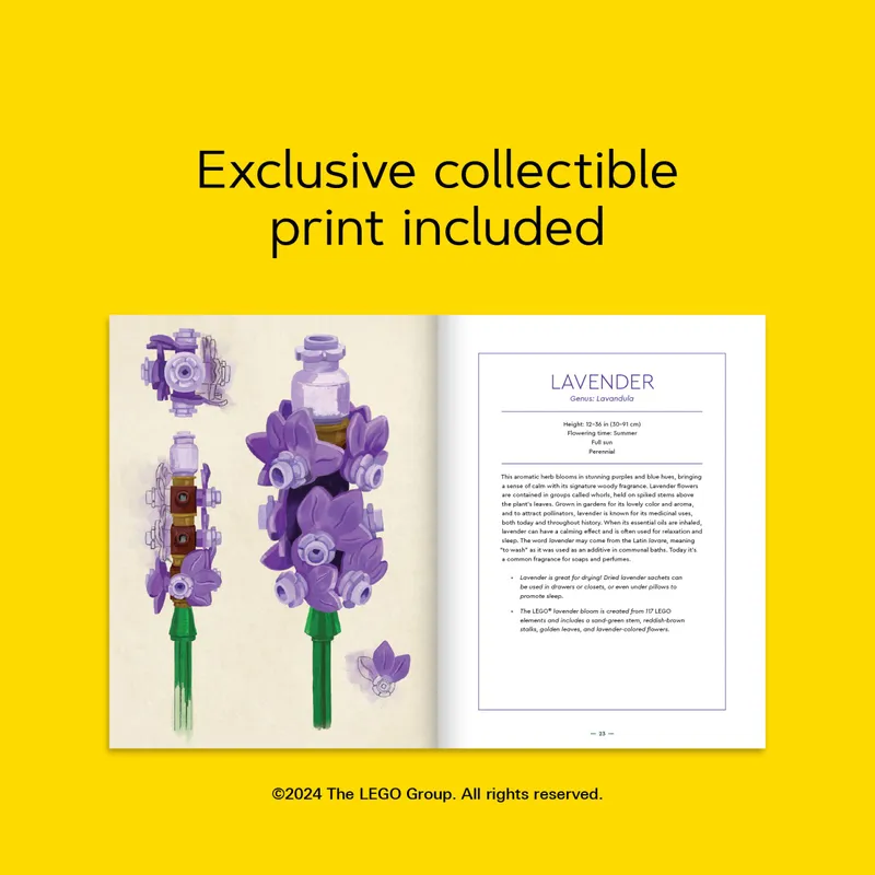Botanical Almanac: A Field Guide to Brick-Built Blooms Botanical Almanac: A Field Guide to Brick-Built Blooms