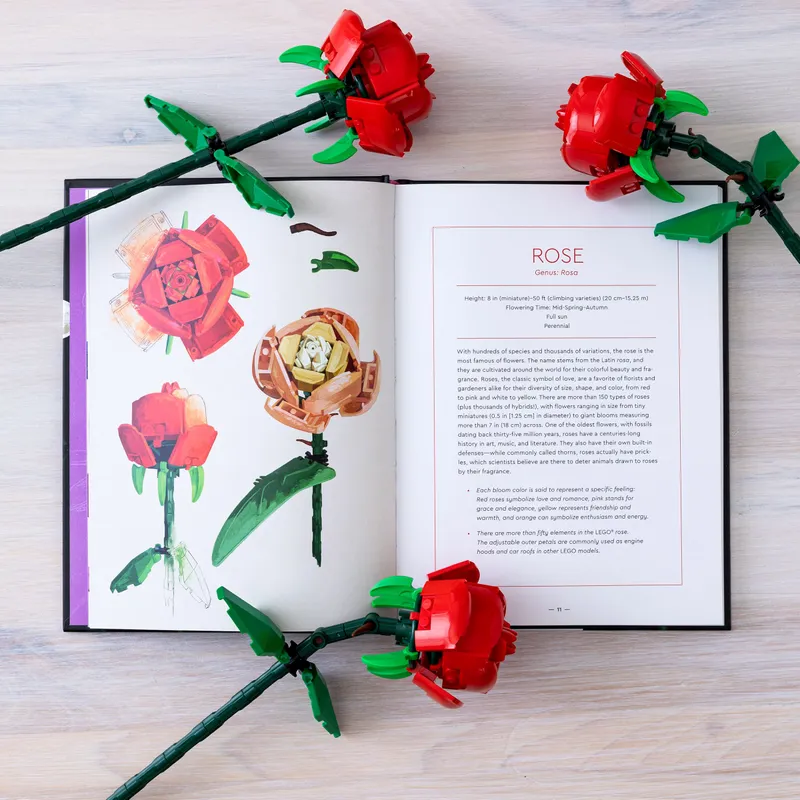 Botanical Almanac: A Field Guide to Brick-Built Blooms Botanical Almanac: A Field Guide to Brick-Built Blooms