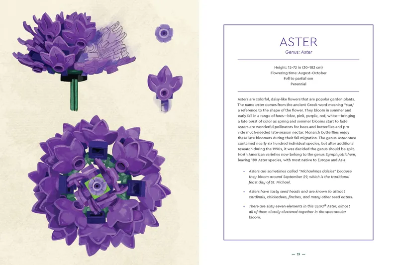 Botanical Almanac: A Field Guide to Brick-Built Blooms Botanical Almanac: A Field Guide to Brick-Built Blooms