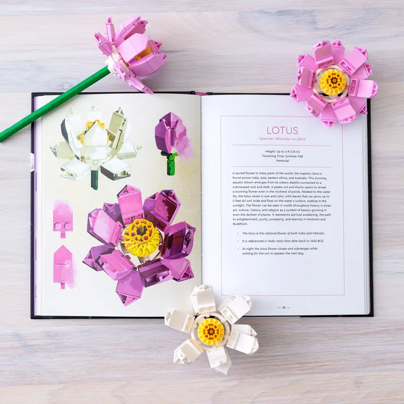 Botanical Almanac: A Field Guide to Brick-Built Blooms Botanical Almanac: A Field Guide to Brick-Built Blooms