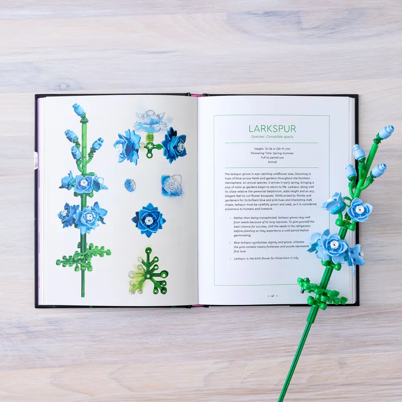 Botanical Almanac: A Field Guide to Brick-Built Blooms Botanical Almanac: A Field Guide to Brick-Built Blooms