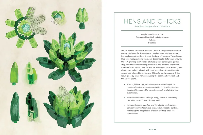 Botanical Almanac: A Field Guide to Brick-Built Blooms Botanical Almanac: A Field Guide to Brick-Built Blooms