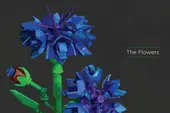 Botanical Almanac: A Field Guide to Brick-Built Blooms