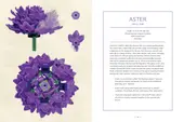 Botanical Almanac: A Field Guide to Brick-Built Blooms