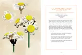 Botanical Almanac: A Field Guide to Brick-Built Blooms