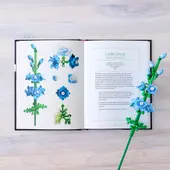 Botanical Almanac: A Field Guide to Brick-Built Blooms