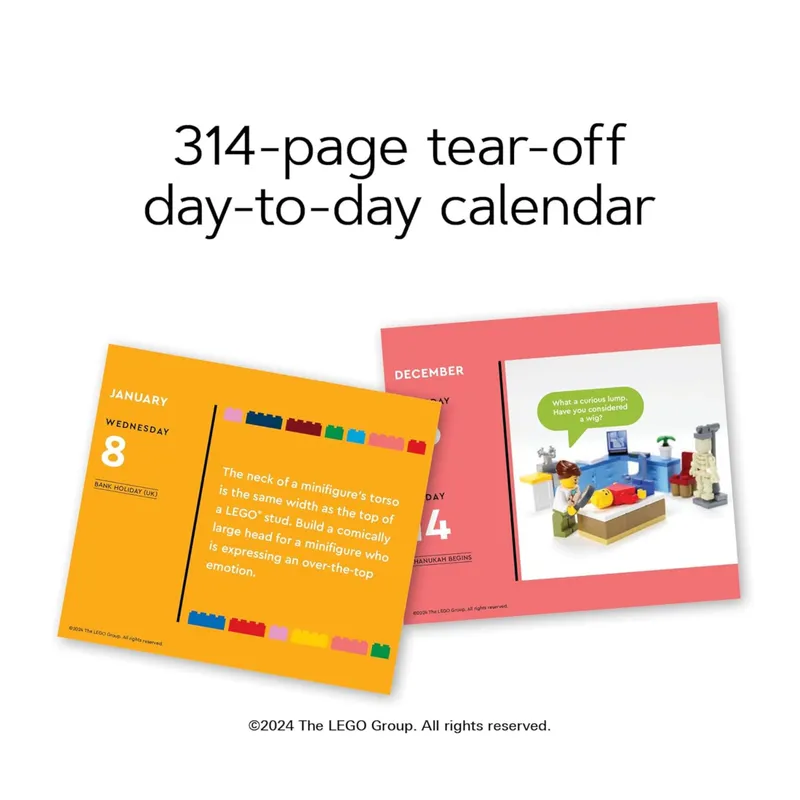 Fun Every Day 2025 Daily Calendar Fun Every Day 2025 Daily Calendar