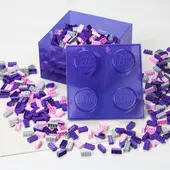 Brick Shaped Storage Box 2 x 2