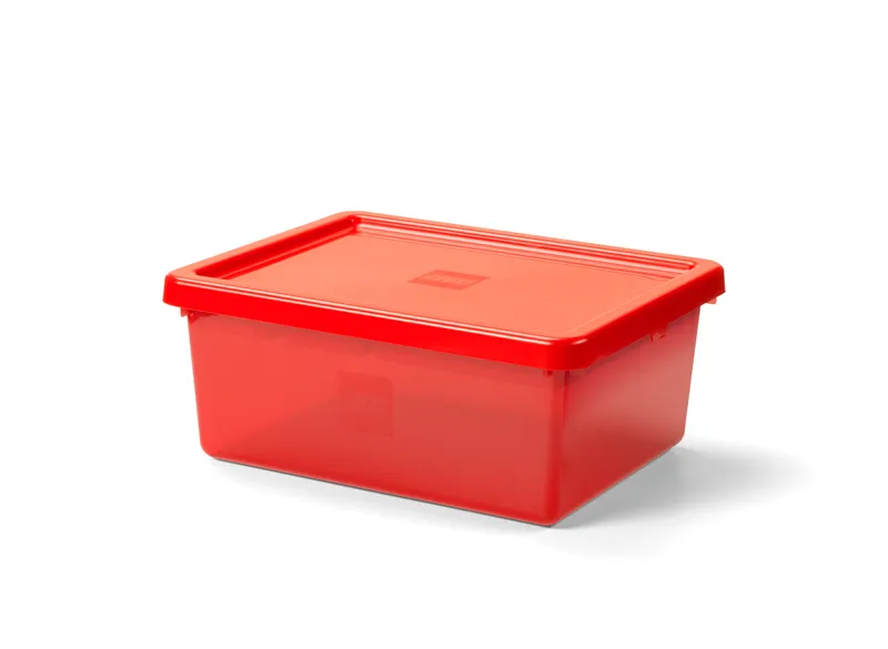 Compartment Storage Box (All Colors)