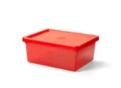 Compartment Storage Box (All Colors)