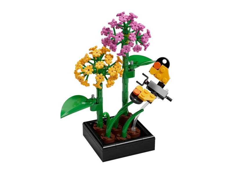 Butterfly Garden