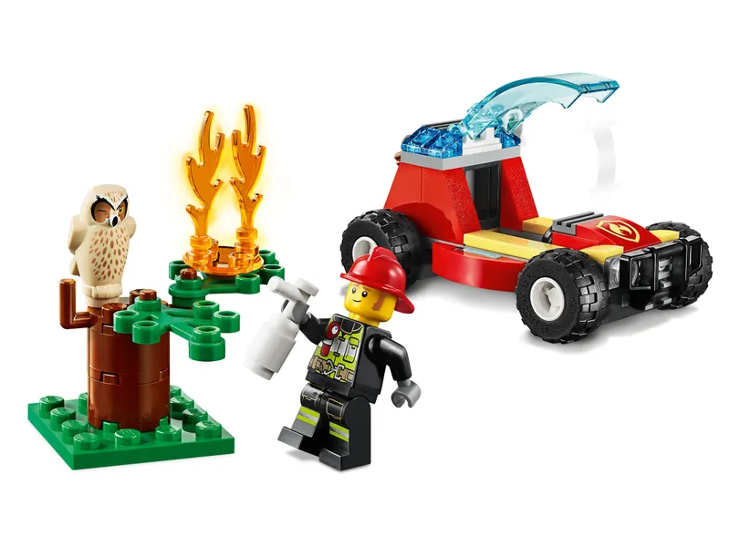 Forest Fire Forest Fire