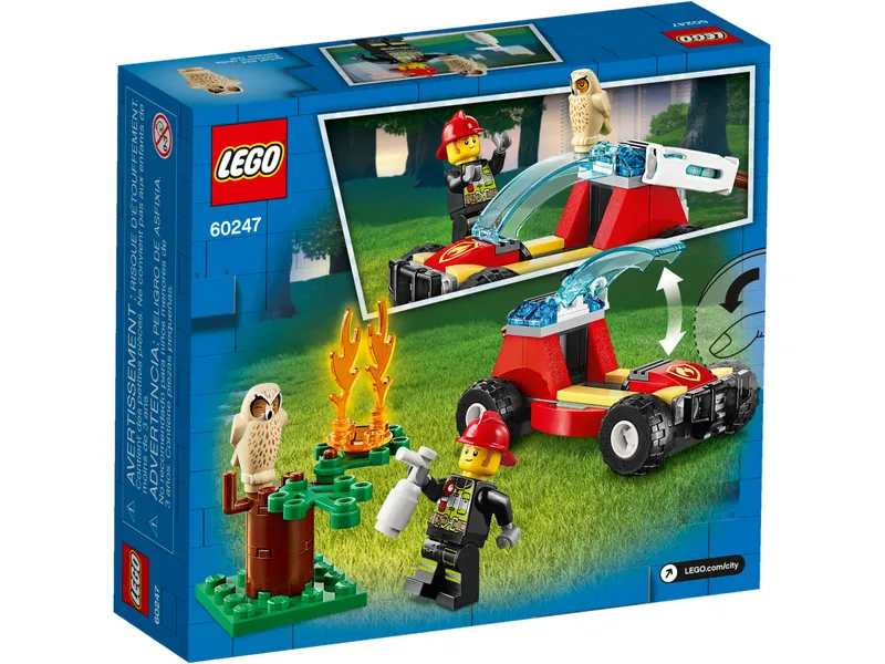 Forest Fire Forest Fire