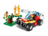 Forest Fire