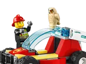 Forest Fire