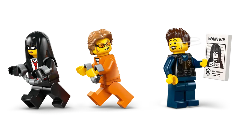 Police Prisoner Transport Van