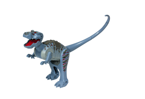Tyrannosaurus Rex Tyrannosaurus Rex