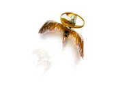 Golden Dragon Master