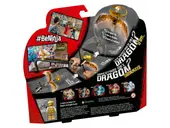 Golden Dragon Master