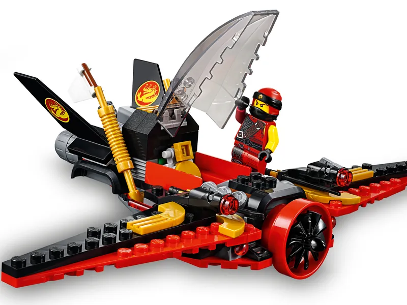 Destiny's Wing Destiny's Wing