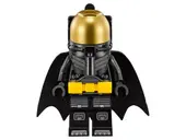 The Bat-Space Shuttle
