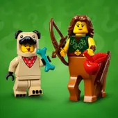 Series 21 - Complete - All Sets