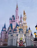 Disney Castle