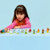 Series 28 - Complete - All Sets