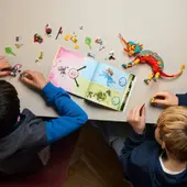 Mateo's Fire Chameleon