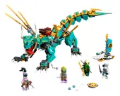 Jungle Dragon