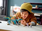Jungle Dragon