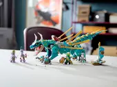Jungle Dragon