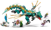 Jungle Dragon