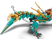 Jungle Dragon