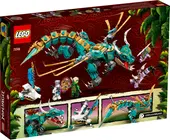 Jungle Dragon