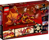 Fire Dragon Attack