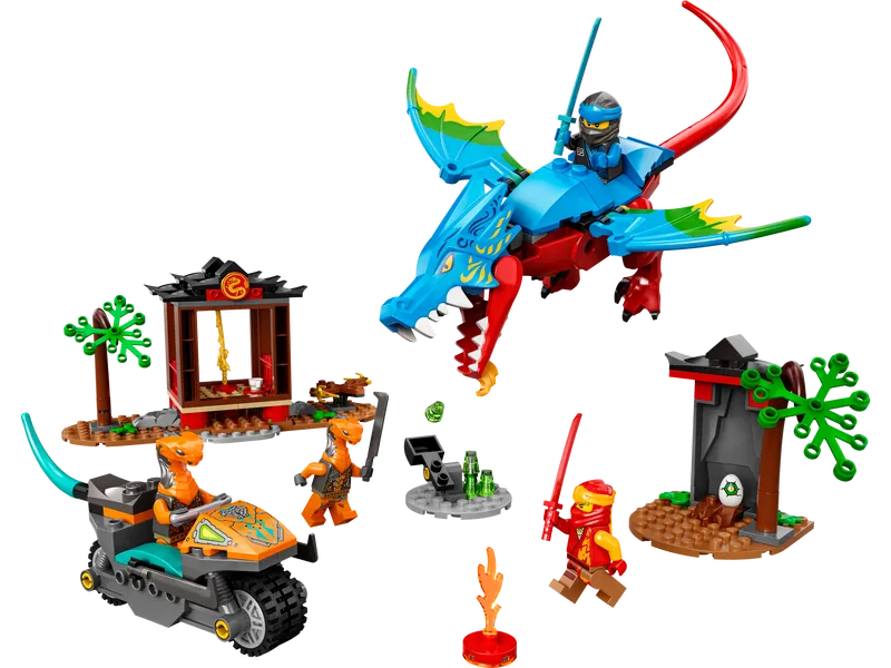 Ninja Dragon Temple