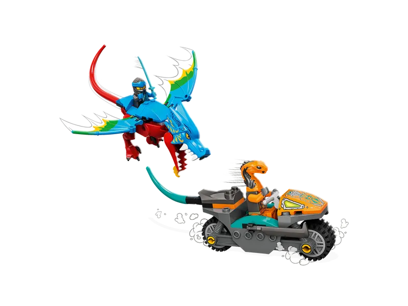 Ninja Dragon Temple