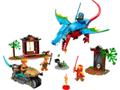 Ninja Dragon Temple