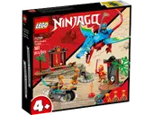 Ninja Dragon Temple
