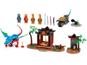 Ninja Dragon Temple