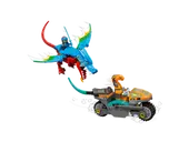 Ninja Dragon Temple