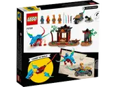 Ninja Dragon Temple